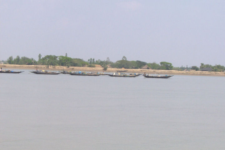 Sundarbans04