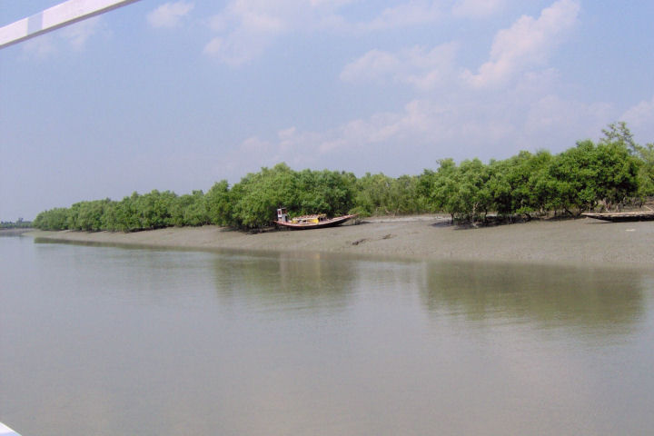 Sundarbans05
