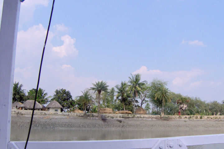 Sundarbans08