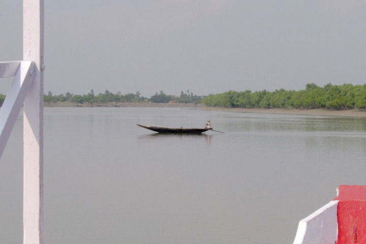 Sundarbans10