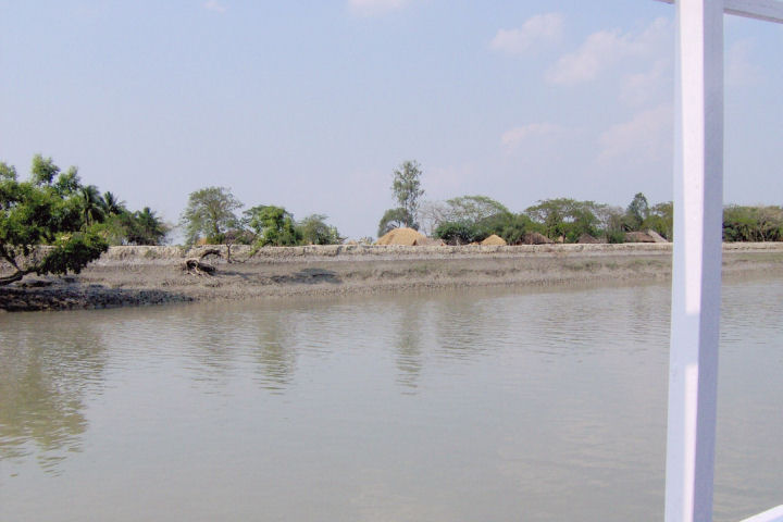 Sundarbans11