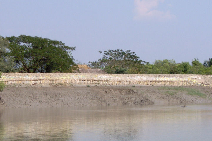 Sundarbans13