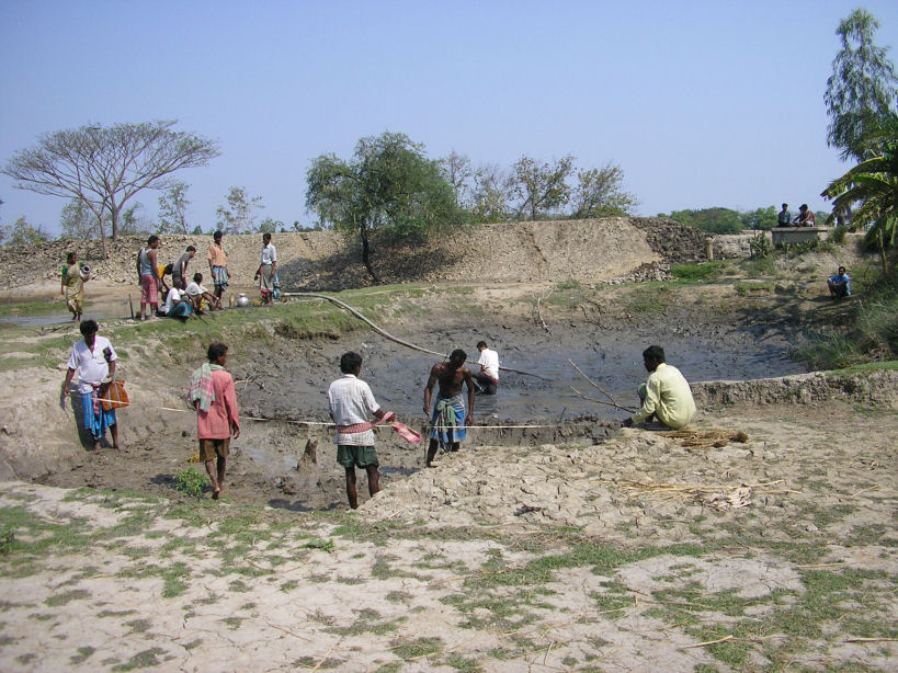 Sundarbans133