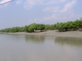 Sundarbans05