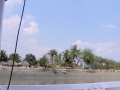 Sundarbans08