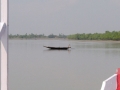 Sundarbans10