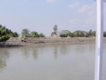 Sundarbans11