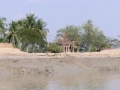 Sundarbans12